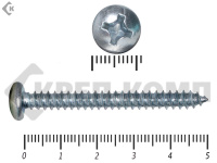 Шуруп с полукруглой головкой DIN7981 5,5х50 Фасовка (200шт)